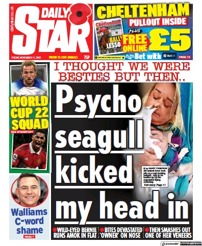 Daily Star (UK) Newspaper Front Page for 11 November 2022