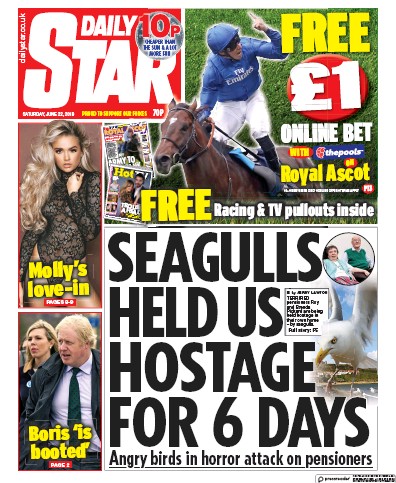 Daily Star (UK) Newspaper Front Page for 22 June 2019